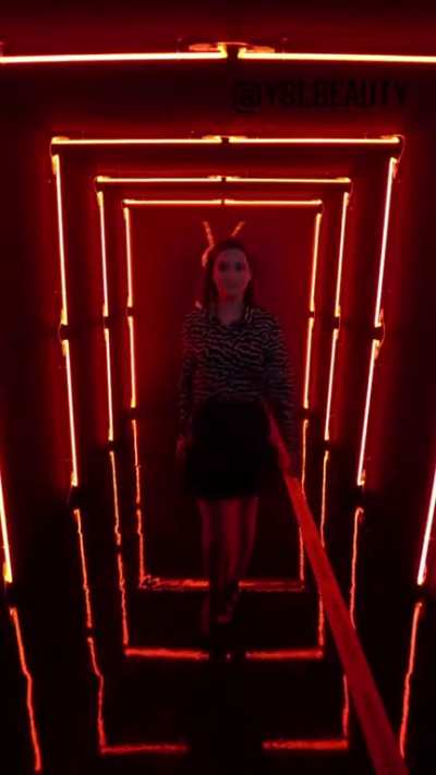 YSL Walk The Line