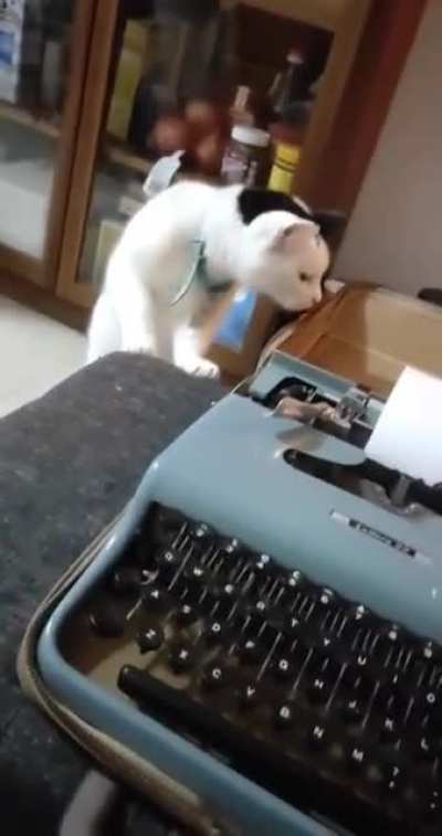 *click*