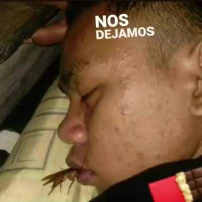 Te volvia a probar
