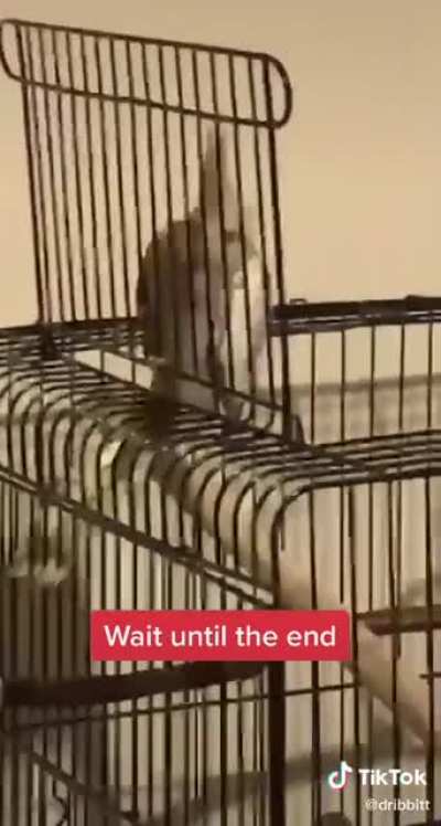Reeee