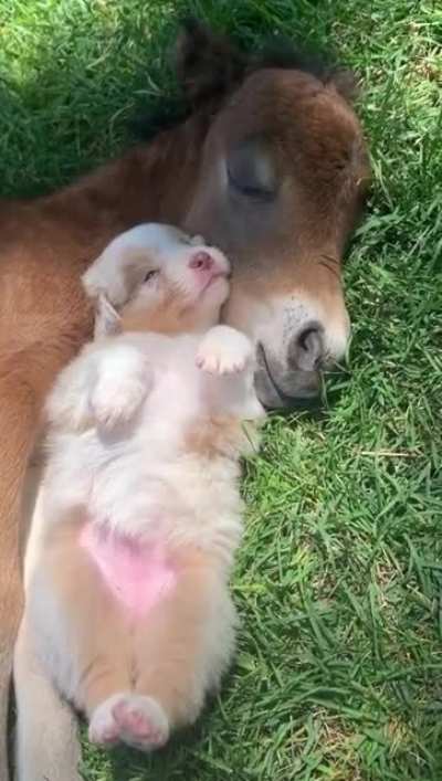Nap time