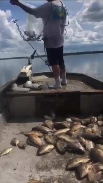How to throw a net