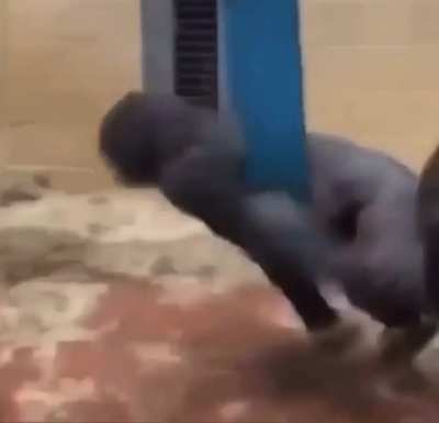 M O N K E