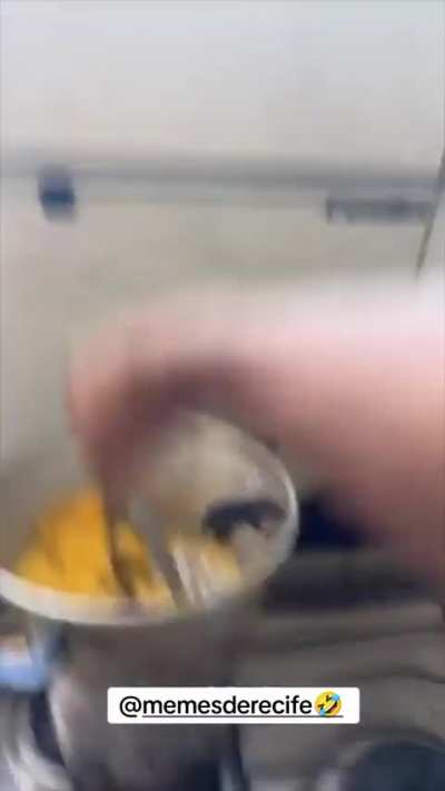 O rato