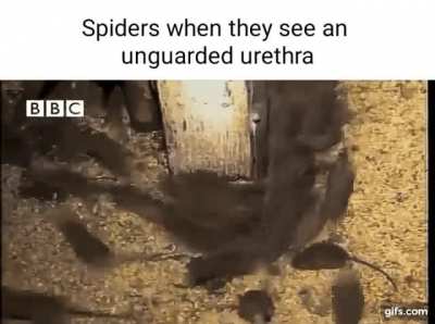 Oh no