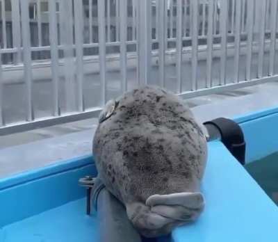 Big boy doesn&rsquo;t want to get up