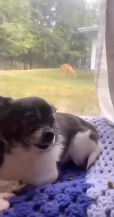 They can understand us humans!