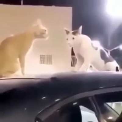 🥺