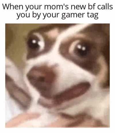 Excuse me dafuk