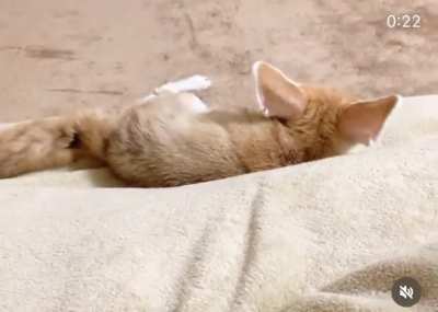 Sliding fen