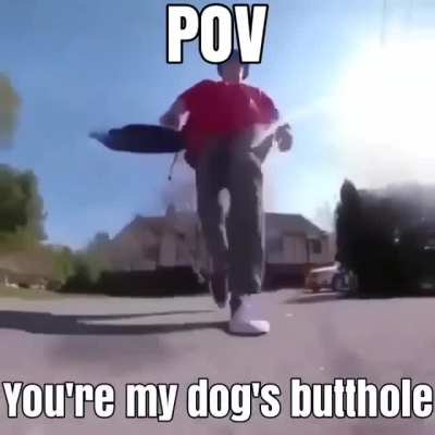 POV: SOS EL ORTO DE MI PERRO