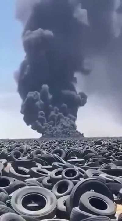 Lets kill the earth