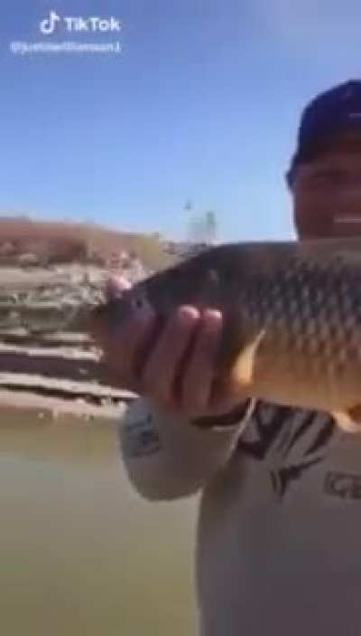 Throwing fish back in water.