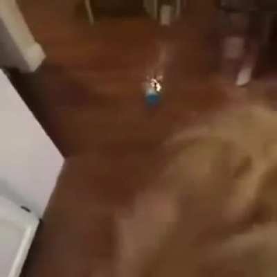 Pouring some drinks