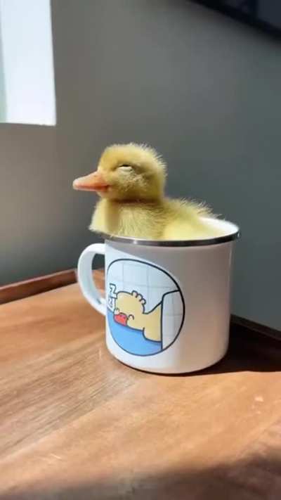 Good morning Everyone! Have a wonderful day