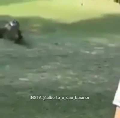 rei lagoste🤏
