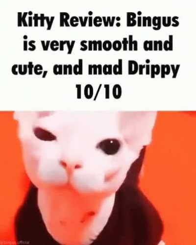 Bingus Rating