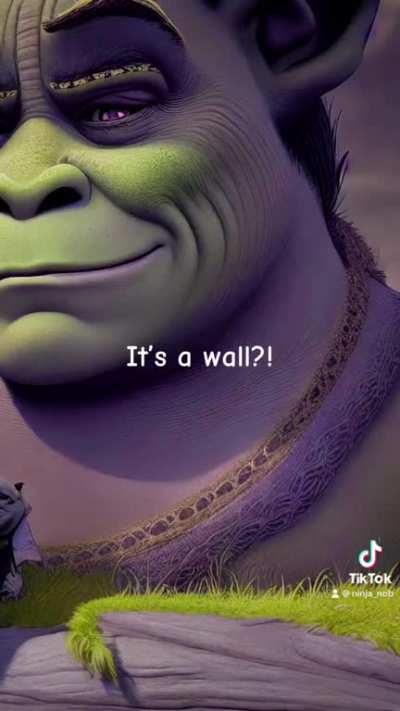 #link #sherk filter