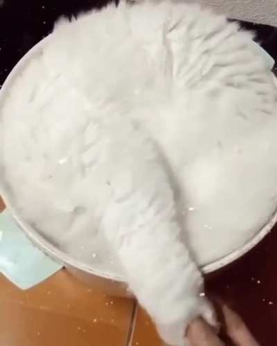 Bowl of Ice Cream