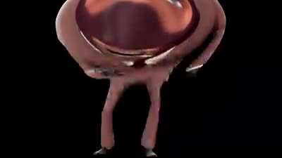 Joure Mother.mp4