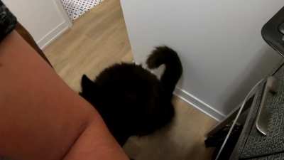 Pet the Void