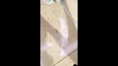 ABSoluTELY BrUtAL higH sChOOL fIGht