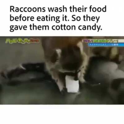 He got confuzoled