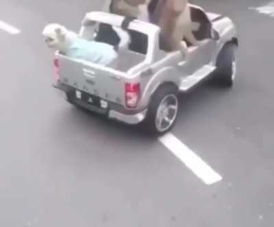 Monke ride