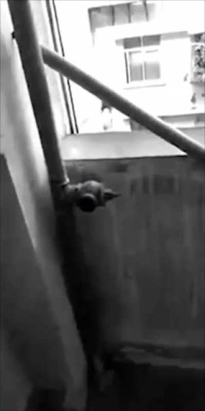to escape
