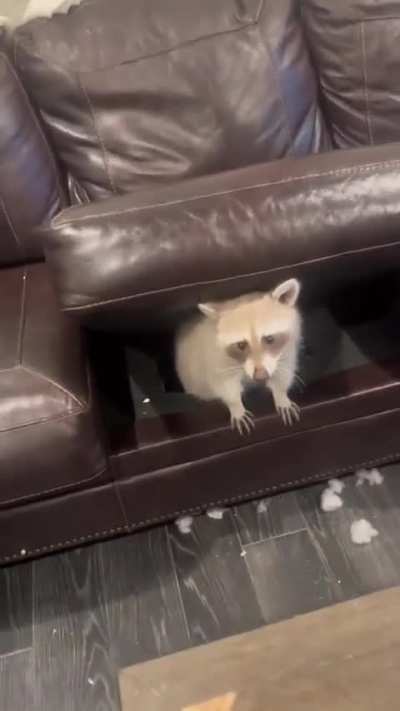 It&rsquo;s his secret cave.