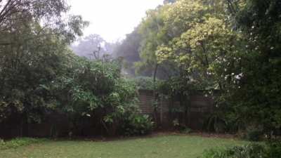 Another entry to the Rains In South Africa. My house flooded with this.