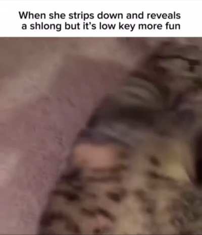 Guys real?