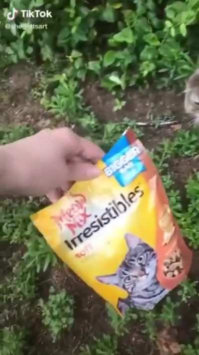 No it&rsquo;s Meooow mix.