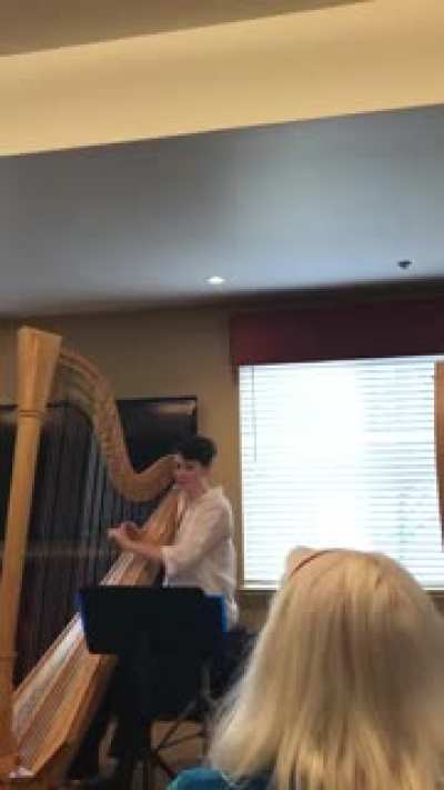 Queen&rsquo;s Garden - Hollow Knight on harp