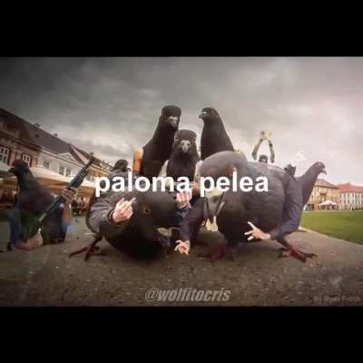 kkkk