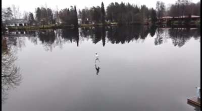 Going for a swim