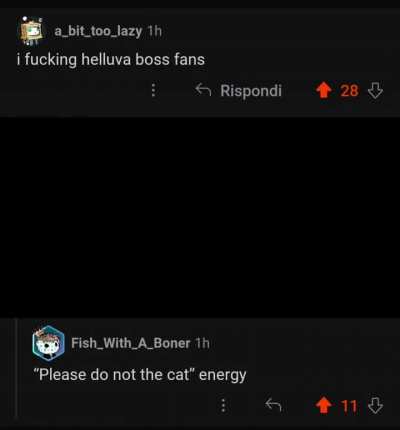 "Please do not the cat" energy
