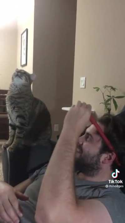 Silly cat doesn&rsquo;t understand physics