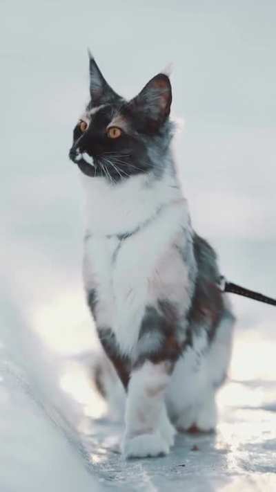 Pure beauty