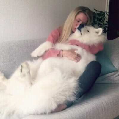 Обнимашки