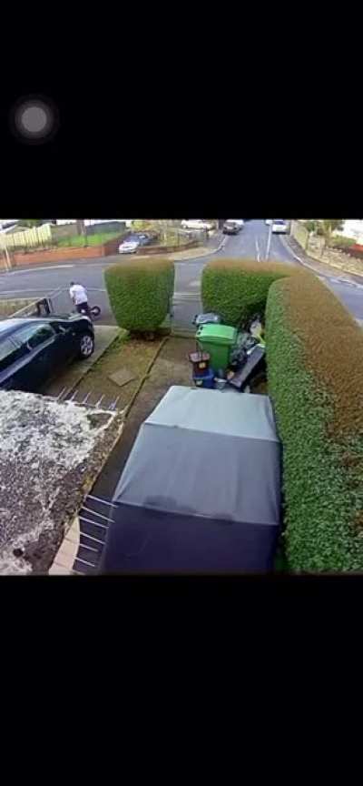 fat ahh lil nigga don&rsquo;t know where the brakes at😂