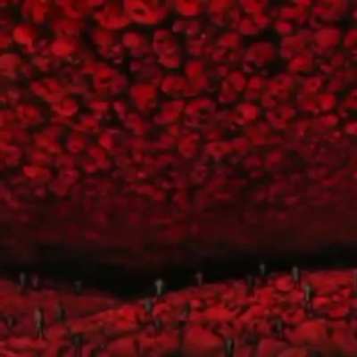 BeelcitosMemes - Video #9376