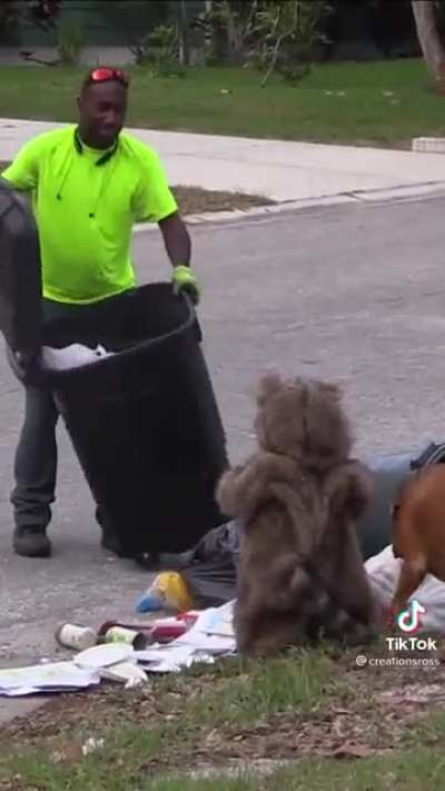 Trash panda