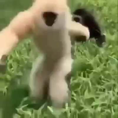 🥺
