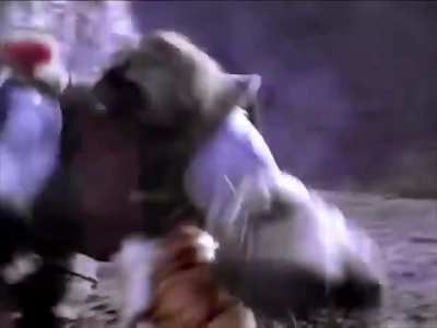 If Zenkaiger locked MMPR&rsquo;s world instead of Zyuranger: