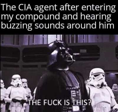 Right in my trap
