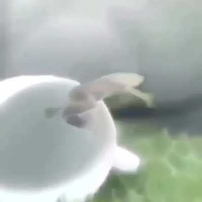 AAAAAAAAAAAAAAAAAAAAAAAAAAAAAAAAAAAAAAAAAAAAAAAAAAAAAAAAAAAAAAAAAAAAAAAAAAAAAAAAAAAAAAAAAAAAAAAAAAAAAAAAAAAAAAAAAAAAAAAAAAAAAAAAAAAAAAAAAAAAAAAAAAAAAAAAAAAAAAAAAAAAAAAAAAAAAAAAAAAAAAAAAAAAAAAAAAAAAAAAAAAAAAAAAAAAAAAAAAAAAAAAAAAAAAAAAAAAAAAAAAAAAAAAAAAAAAA