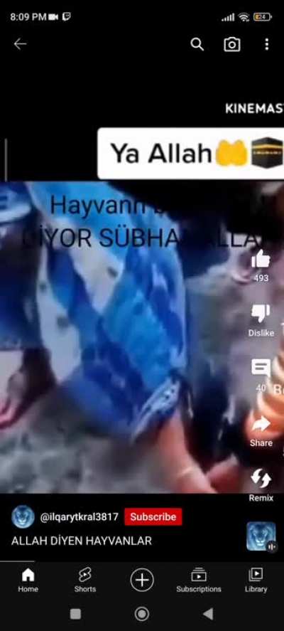 YT SHORTS'TA GEZERKEN BULDUM BU NE AMK ŞDŞDĞDSĞF&Ouml;DĞGLRPGLEĞGLEĞ&Ouml;GOELFPELRPSمرمسميسمرخسمحرمسحبم😵😵💀