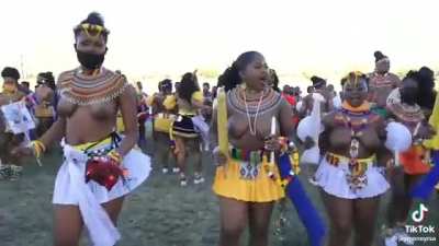 Reed dance