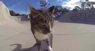 my favorite video of all time